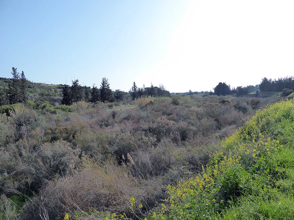 22 River Plain 22_river_plain