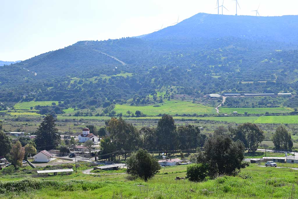 Fasoula 01 fasoula_01