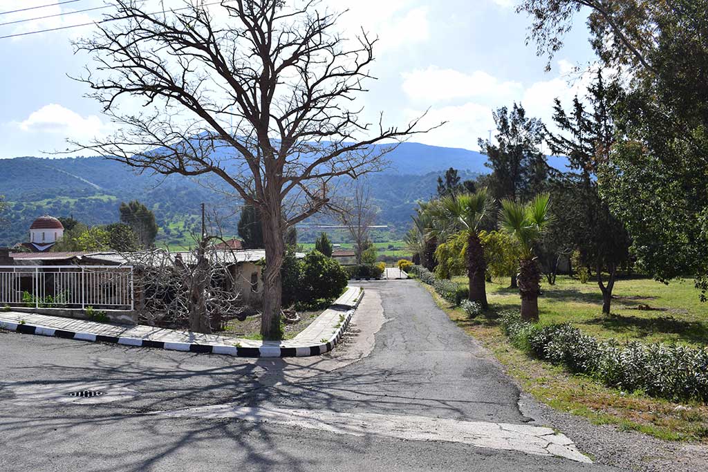 Fasoula 08 fasoula_08