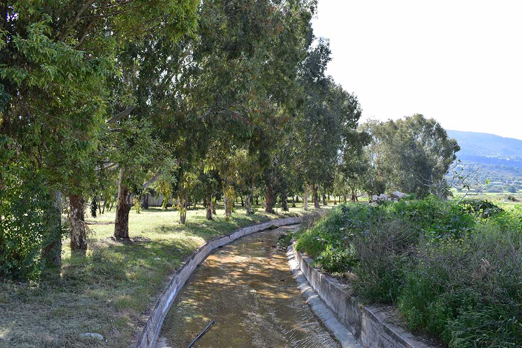 Fasoula 09 fasoula_09