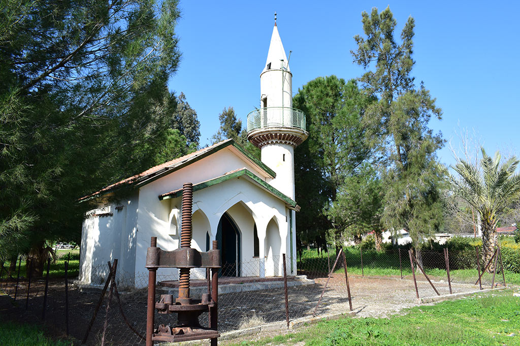 Fasoula 11 fasoula_11