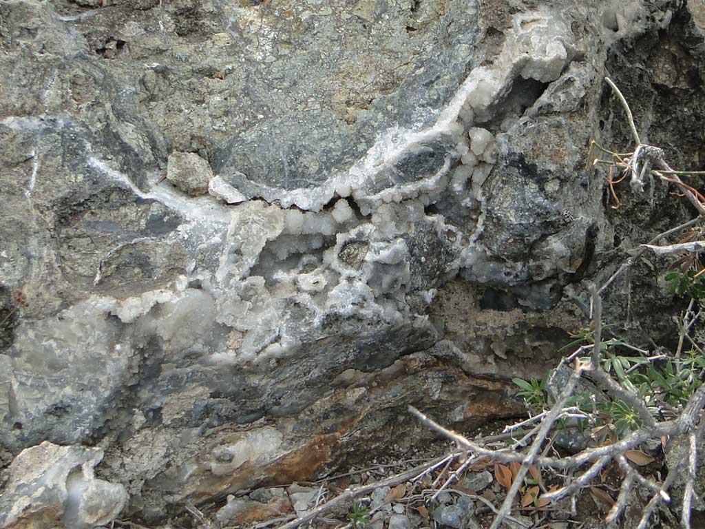 fossilised_rocks_05_close-Kouklia101