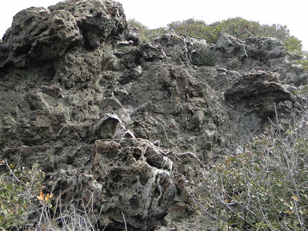Fossilised Rocks 07 Max 07 003 fossilised_rocks_07_max_07_003
