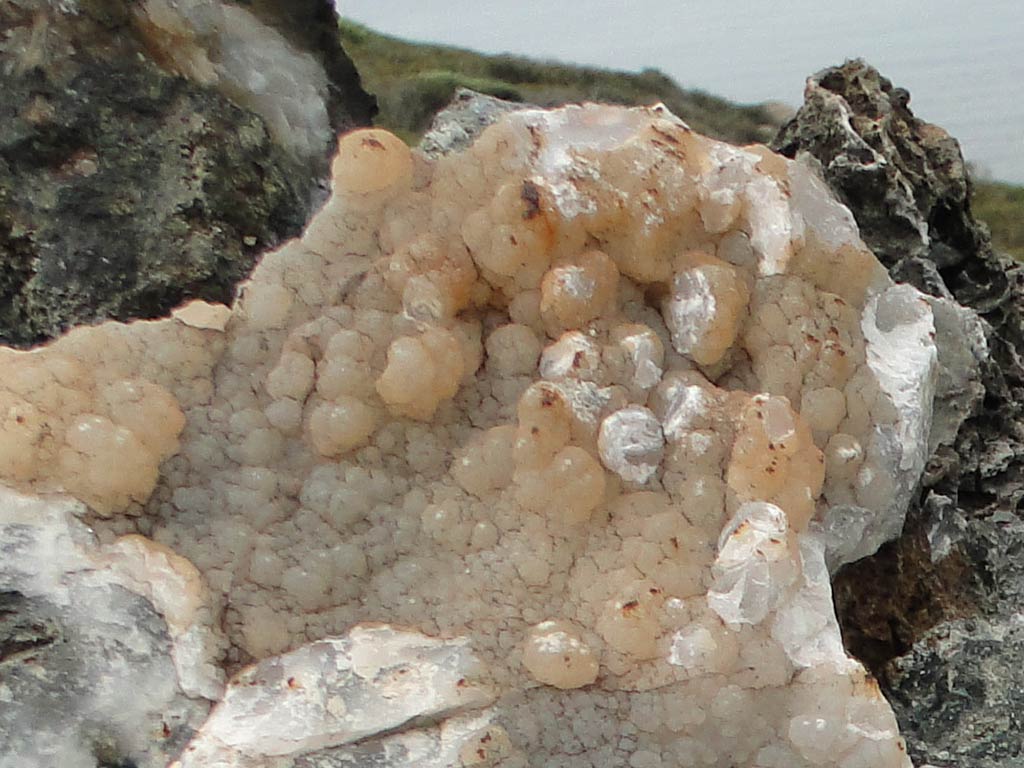 Fossilised Rocks 10 fossilised_rocks_10