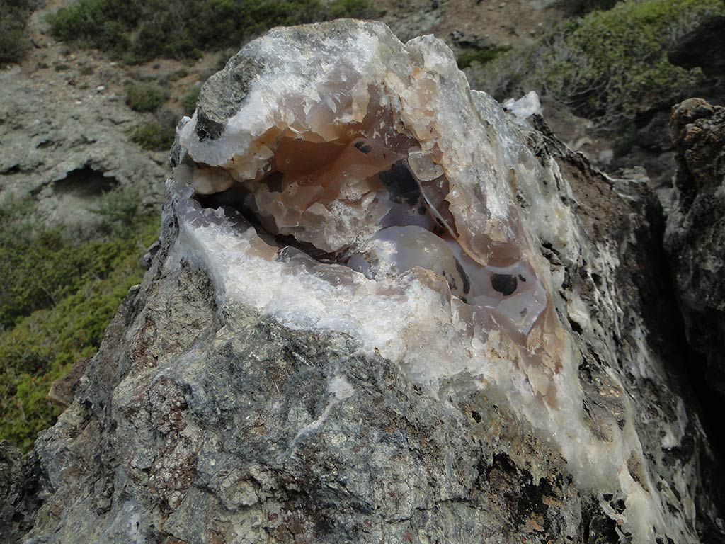 Fossilised Rocks 11 fossilised_rocks_11
