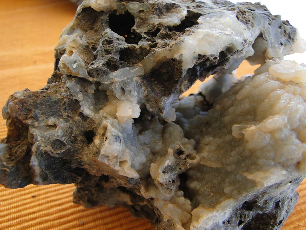 Fossilised Rocks 14 fossilised_rocks_14