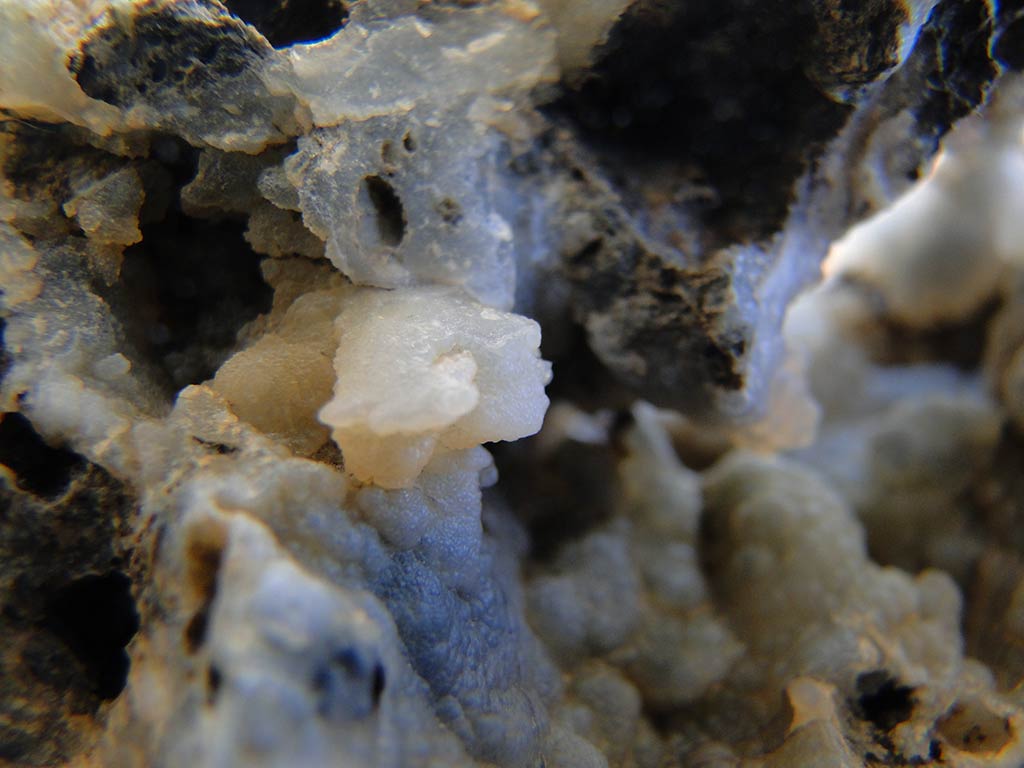 Fossilised Rocks 15 fossilised_rocks_15