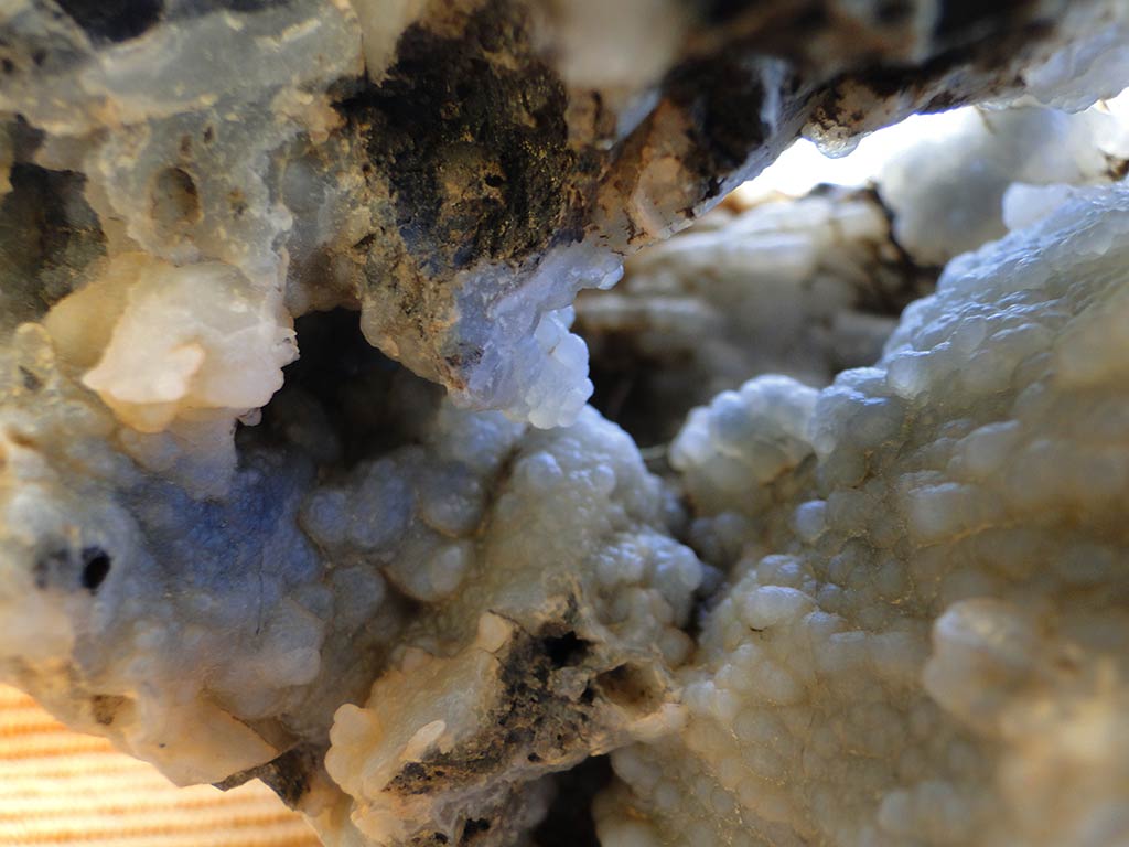 fossilised_rocks_16