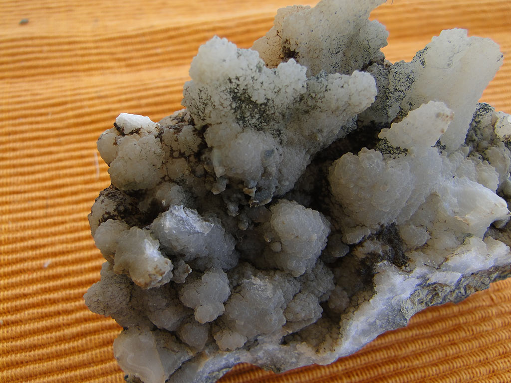 fossilised_rocks_19