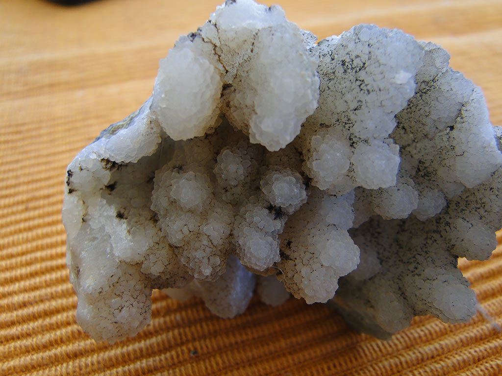 fossilised_rocks_21