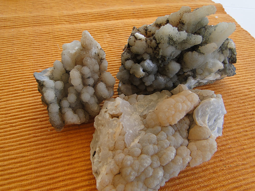 fossilised_rocks_22