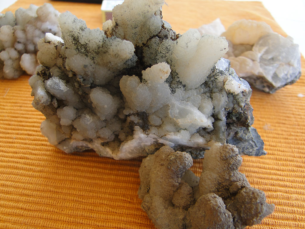 fossilised_rocks_23