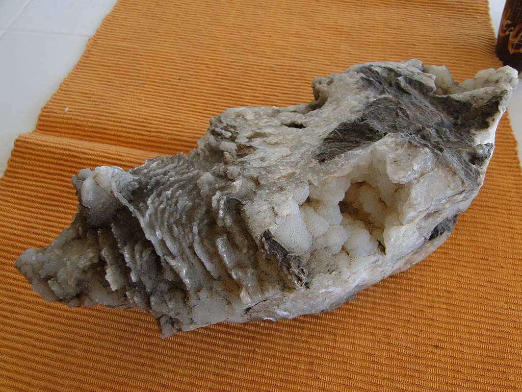 Fossilised Rocks 26 fossilised_rocks_26