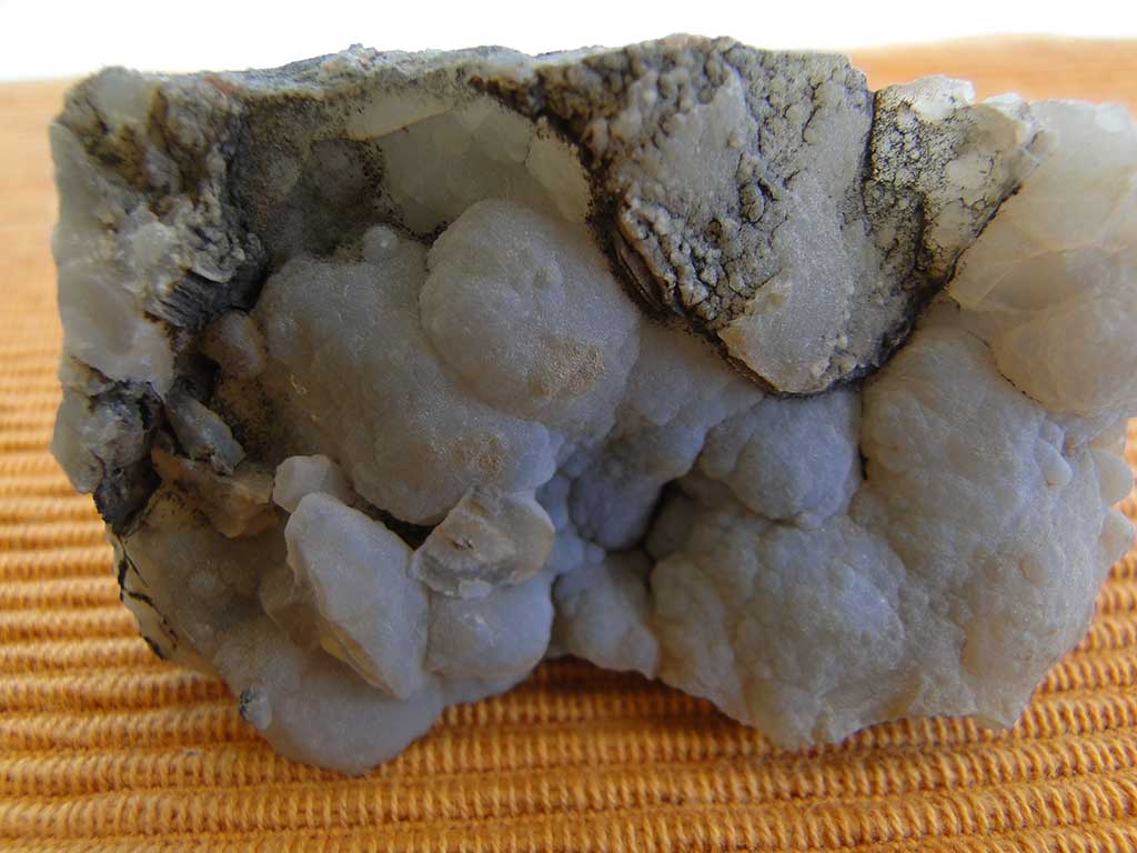 Fossilised Rocks 29 fossilised_rocks_29