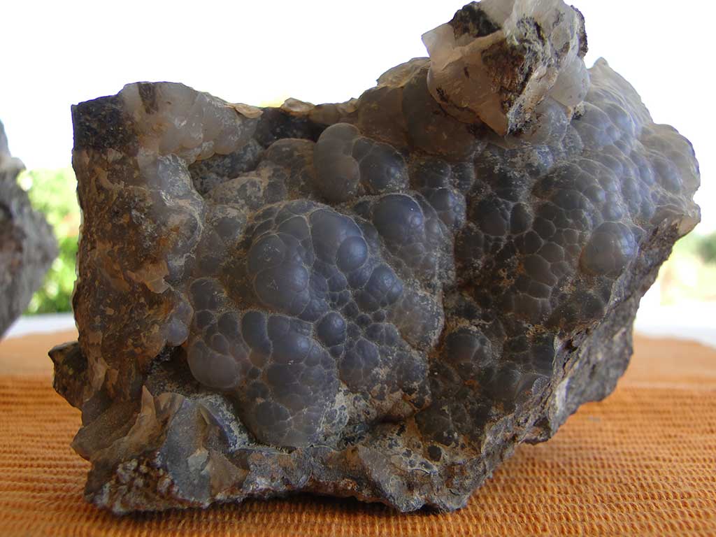 Fossilised Rocks 30 005 fossilised_rocks_30_005