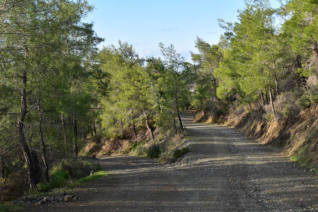 From-simou-to-polis 40 from-simou-to-polis_40