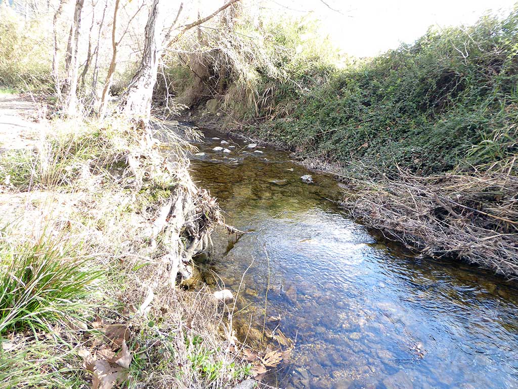 08_stream