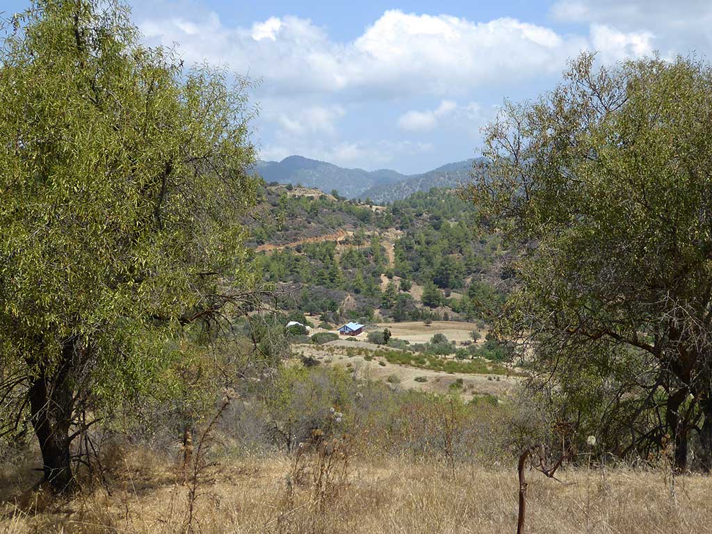 From Kannaviou To Polis 25 Riding In Cyprus from_kannaviou_to_polis_25_riding_in_cyprus
