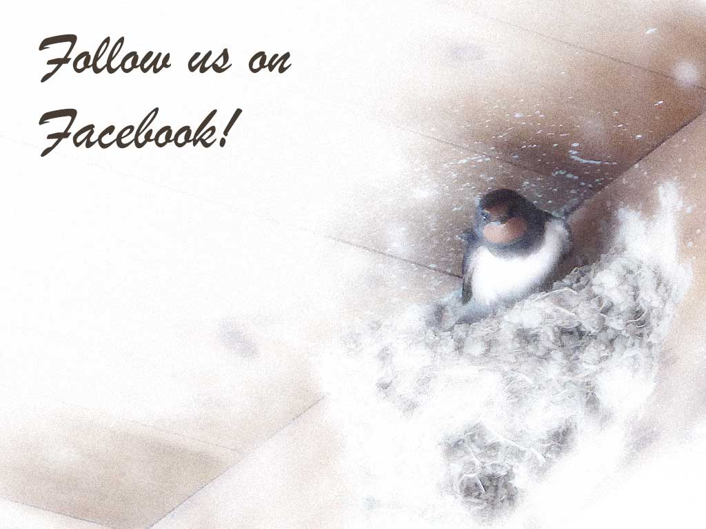 20 Fb 20_fb