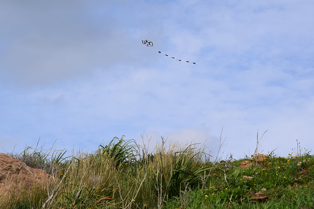 green_day_2018_004_flying