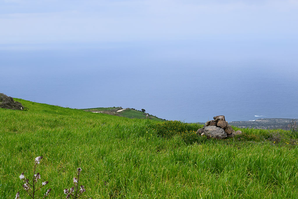 green_day_2018_011_very_green