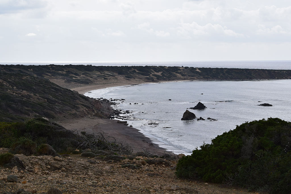 Green Day 2018 019 Lara Bay green_day_2018_019_lara_bay
