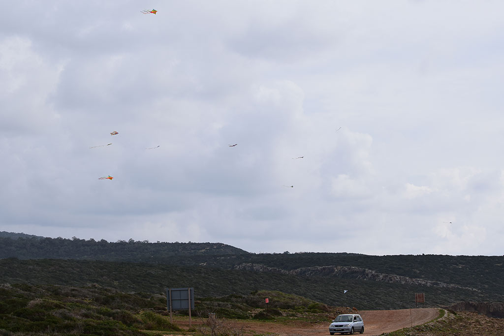 Green Day 2018 020 Kites green_day_2018_020_kites