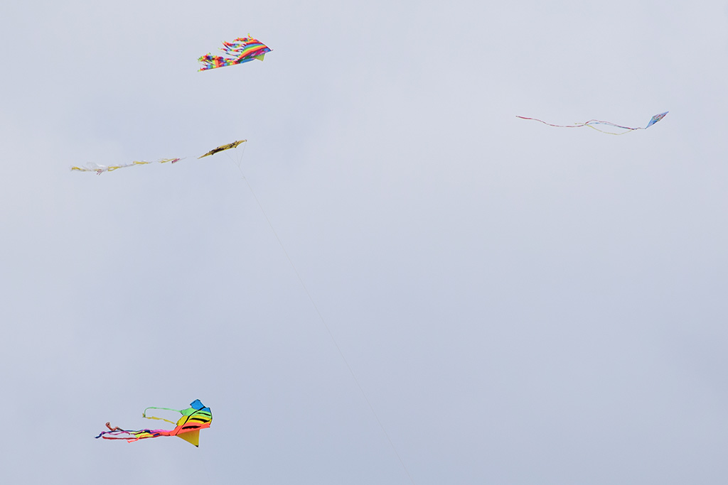 Green Day 2018 022 More Kites green_day_2018_022_more_kites
