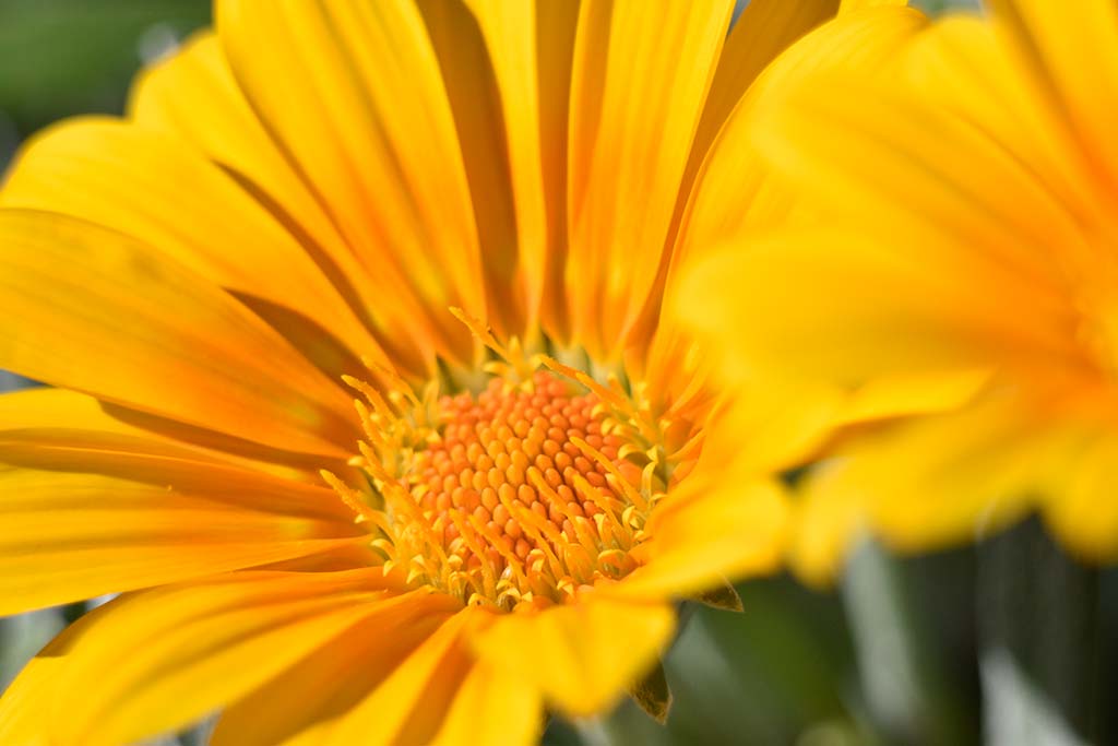 Happy-mothers-day-2019 13 happy-mothers-day-2019_13