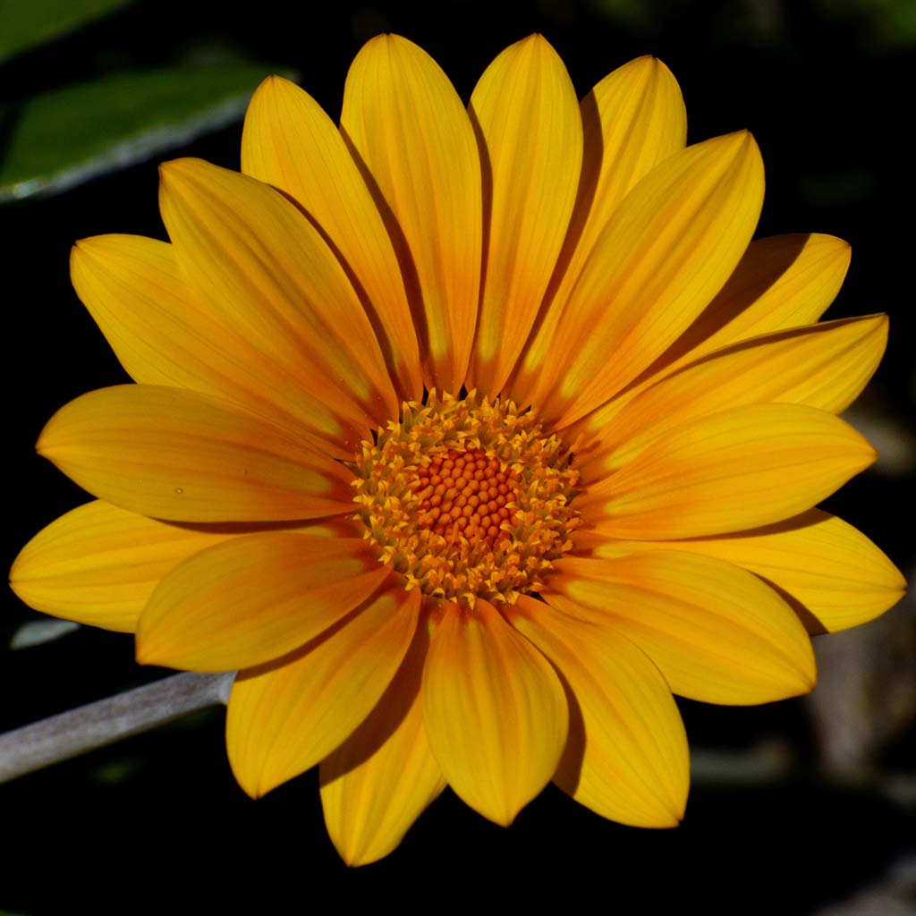 Happy-mothers-day-2019 14 happy-mothers-day-2019_14