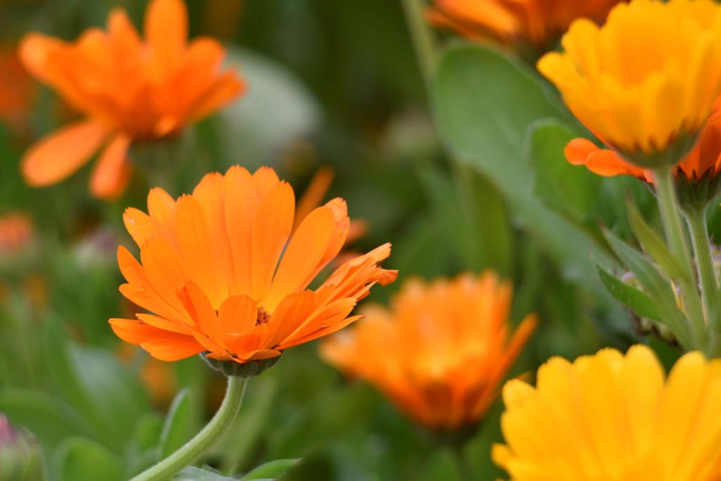 Happy-mothers-day-2019 23 happy-mothers-day-2019_23