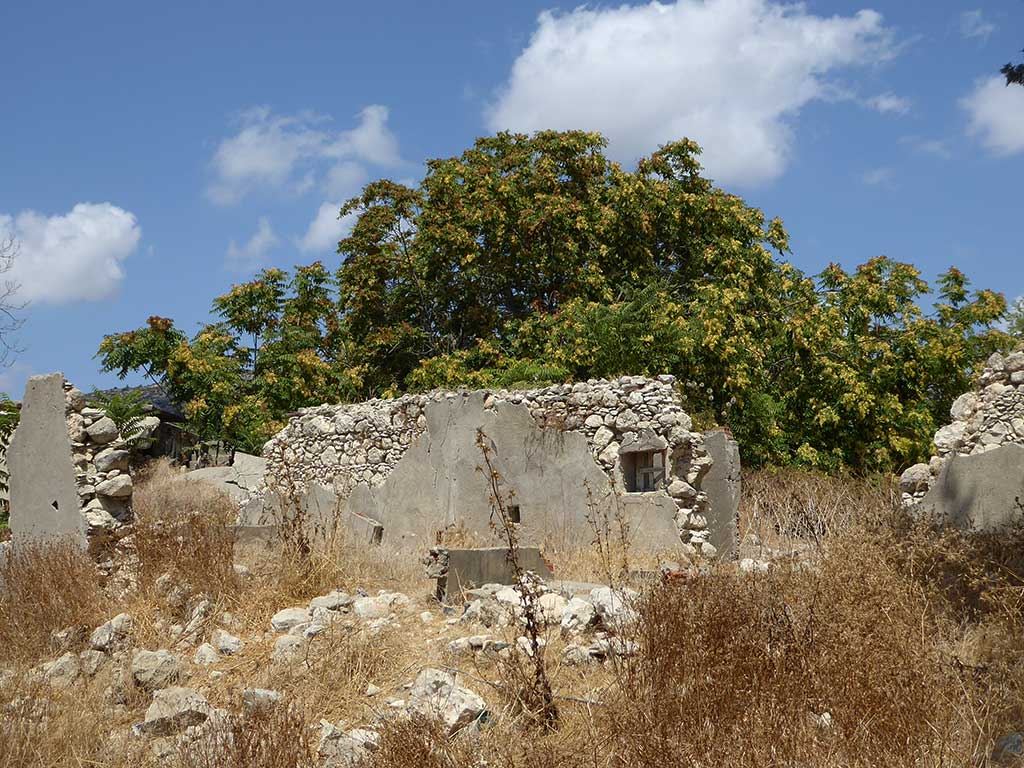 istinjo_09_tree_ruins