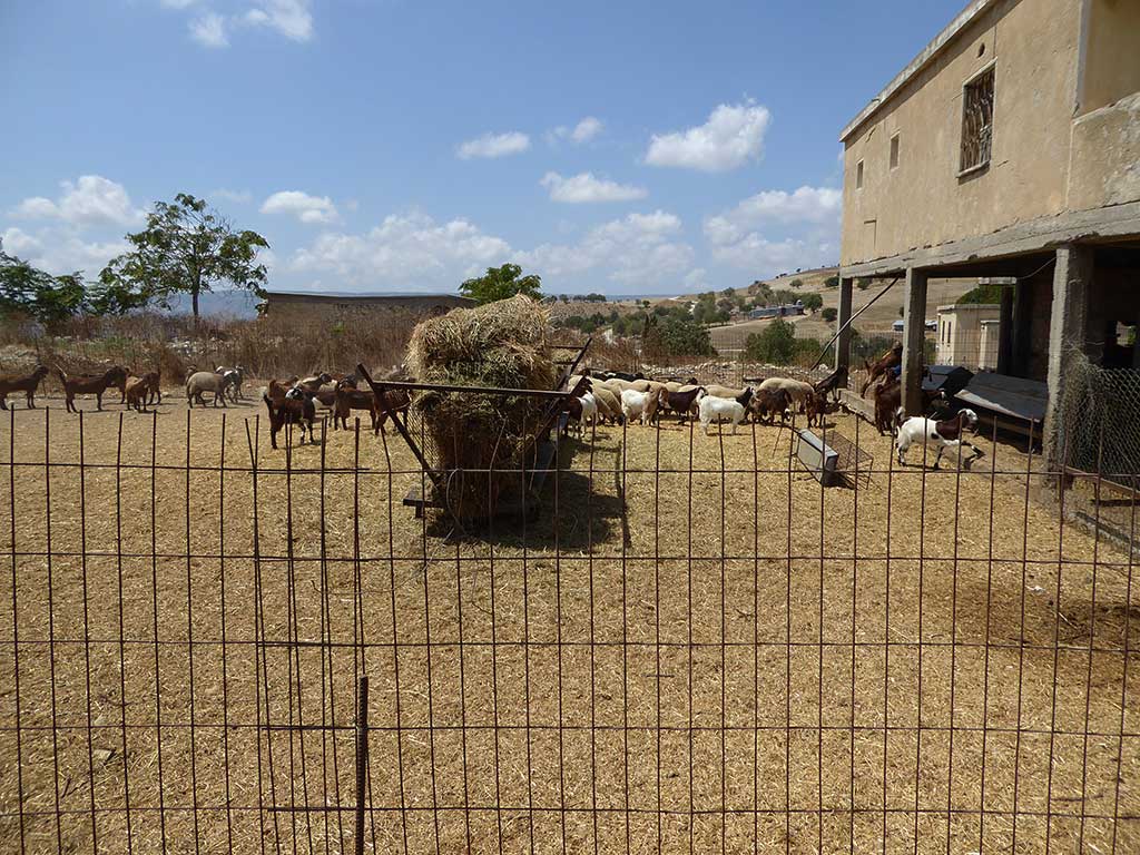 Istinjo 22 Farm2 istinjo_22_farm2