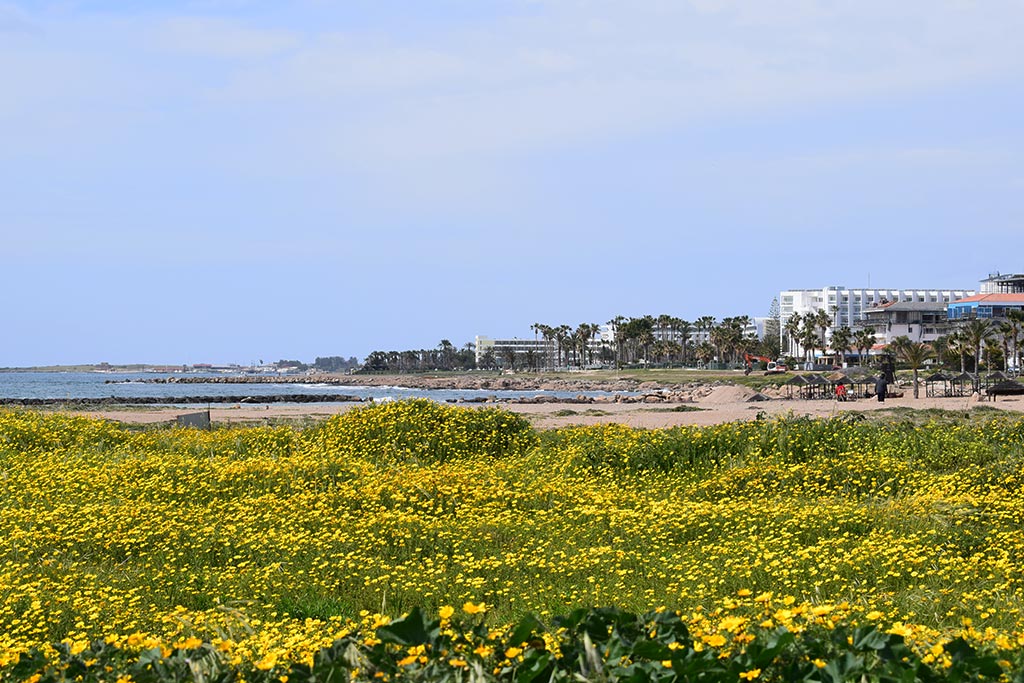 Kato Paphos In Spring 04 kato_paphos_in_spring_04