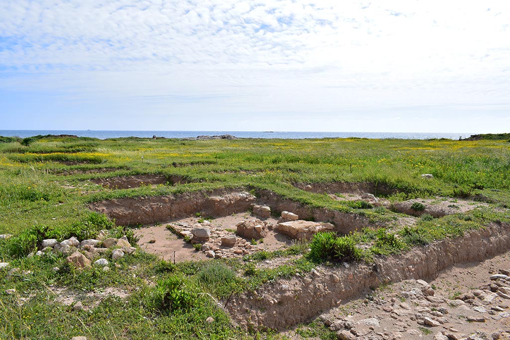 kato_paphos_in_spring_06