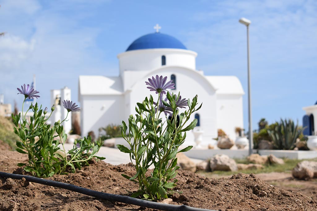 kato_paphos_in_spring_11