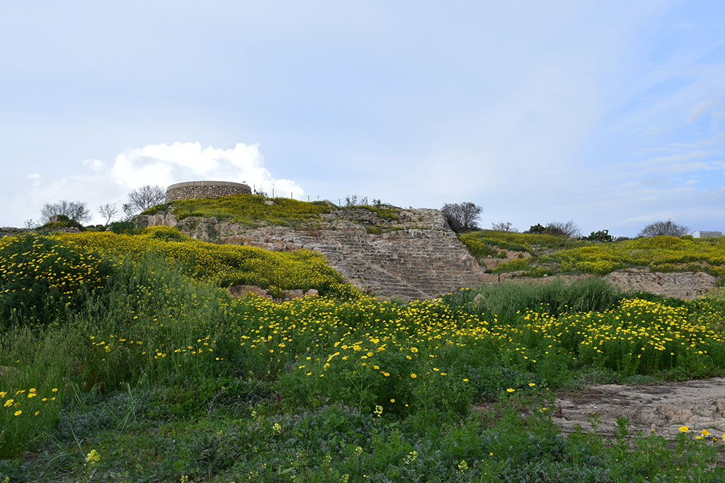 kato_paphos_in_spring_20