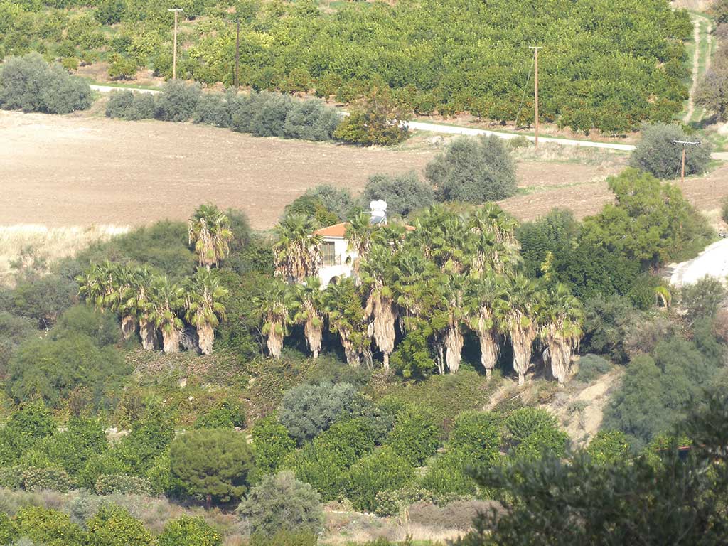 makounta_13