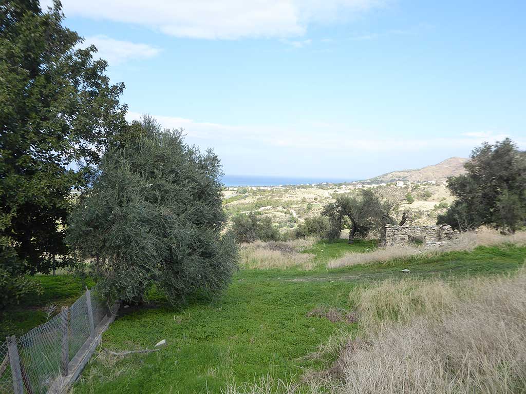makounta_14