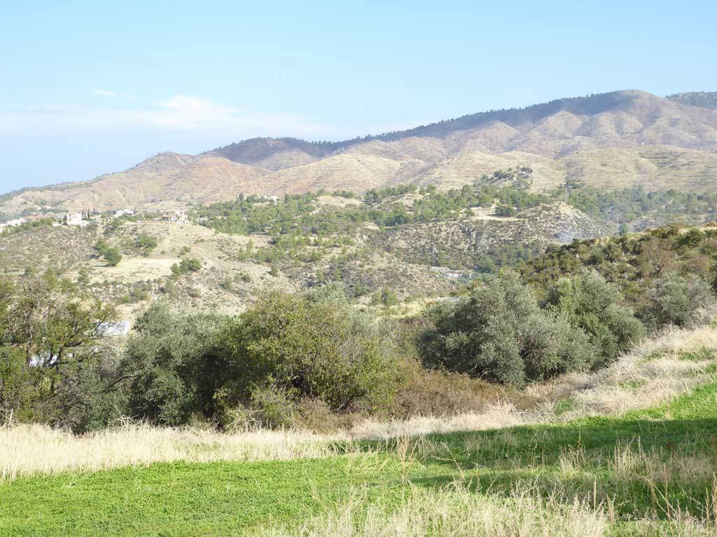 Makounta 24 makounta_24