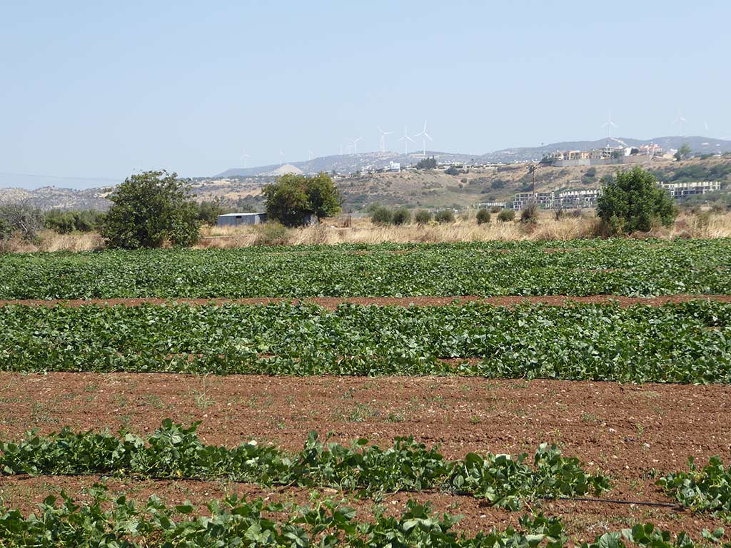 mandria_mysteries_06_farmland