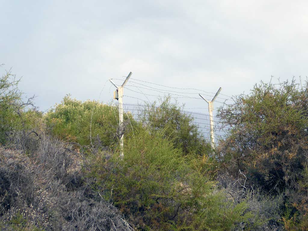 08 Fences Now 08_fences_now