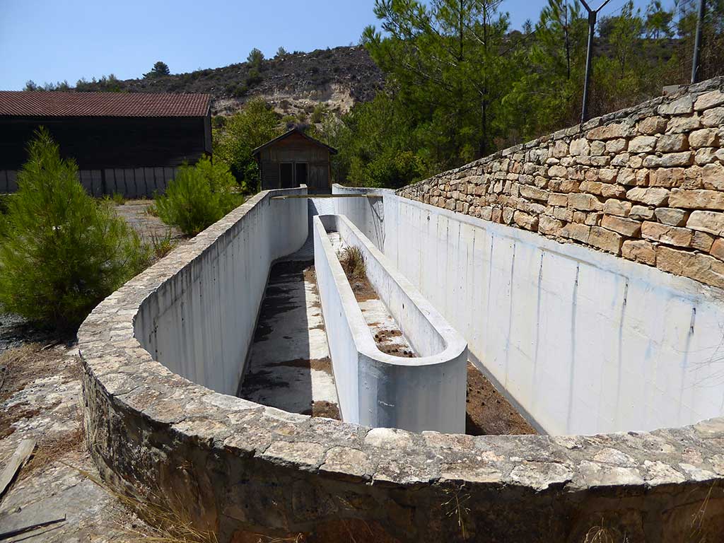 51 Horse Pool 2 51_horse_pool_2