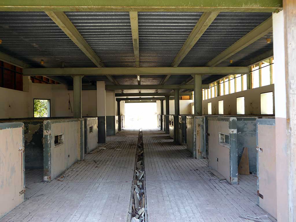 59 Stable 59_stable