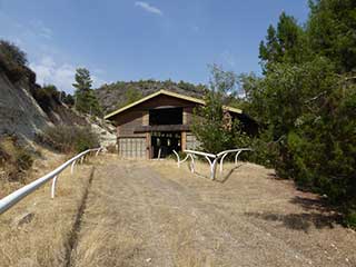 The Abandoned Rancho Appaloosa