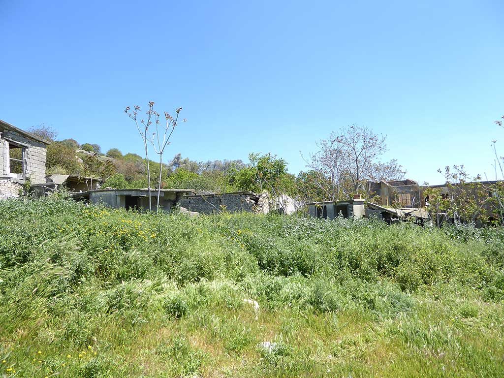 melandra_11_overgrown_ruins