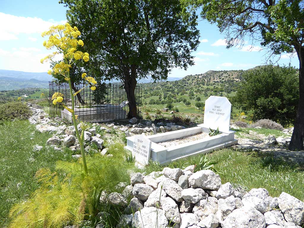 Melandra 16 Graveyard melandra_16_graveyard