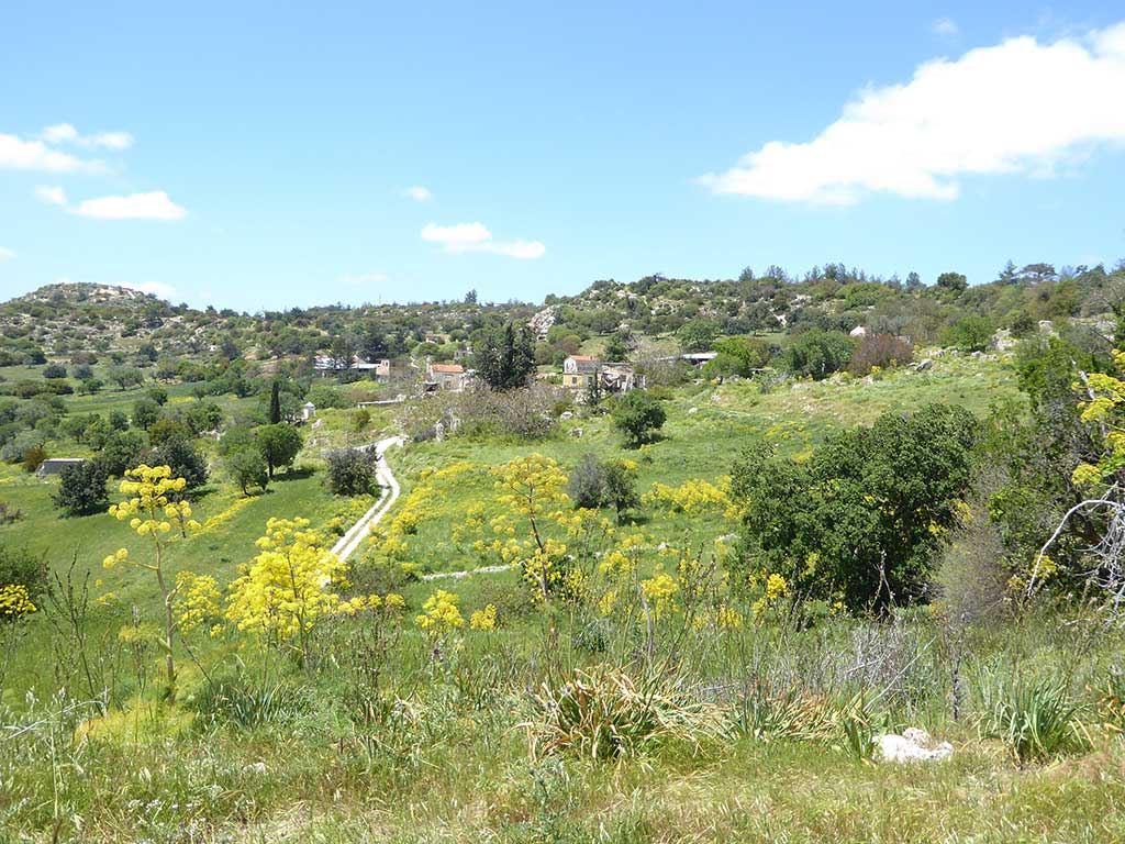 Melandra 22 Outskirts melandra_22_outskirts
