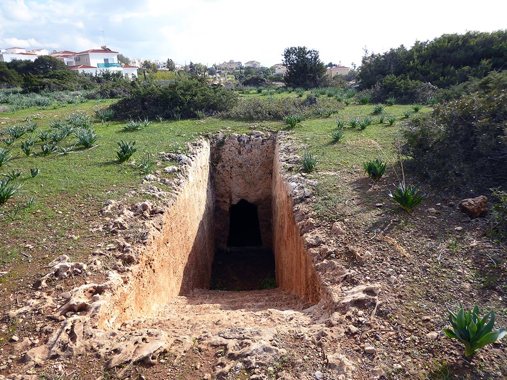 14_dugout