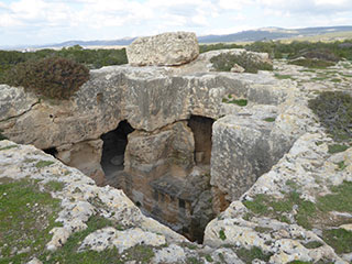 The Necropolis at Meletis Forest